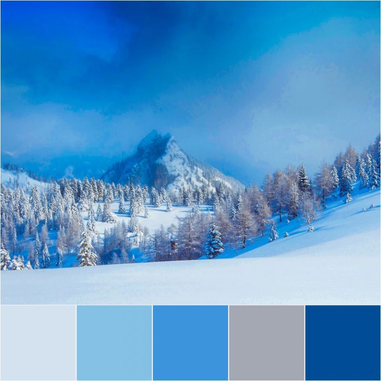 January Color Palette Design in Reflection